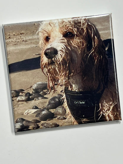 Square Acrylic Photo Magnet (2x2 inches)