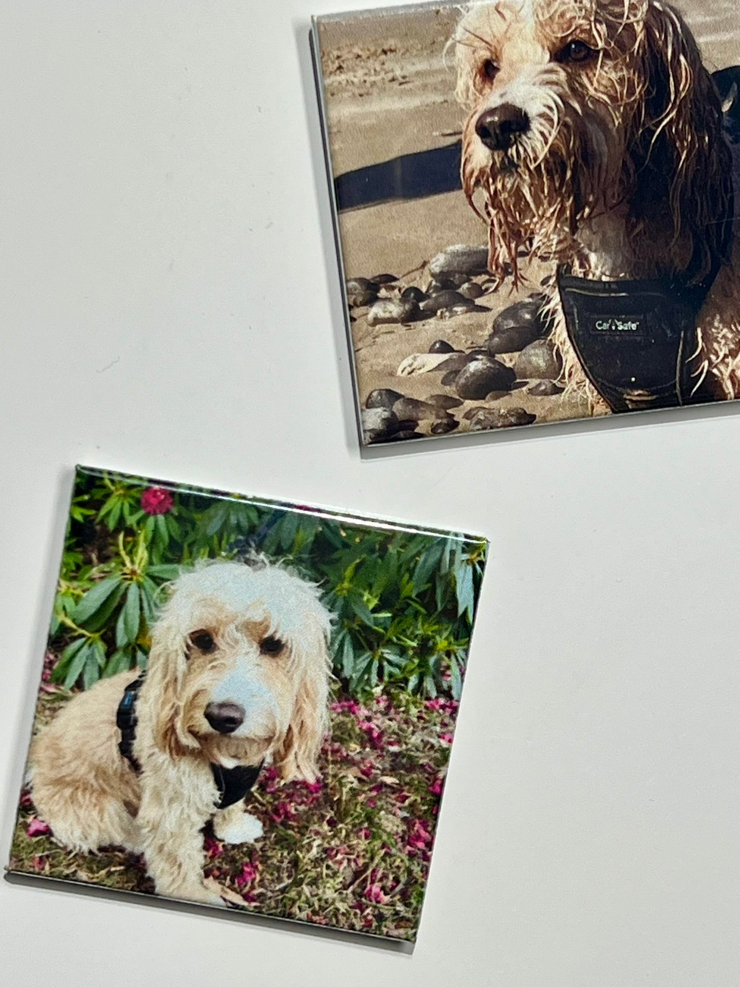 Square Acrylic Photo Magnet (2x2 inches)