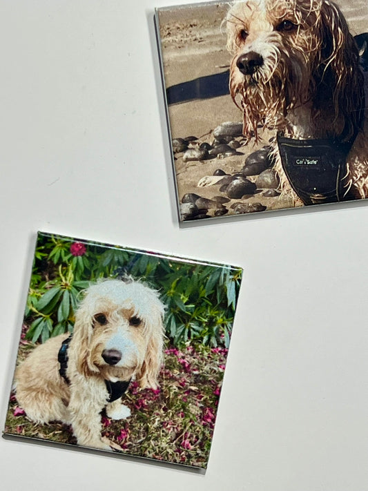 Square Acrylic Photo Magnet (2x2 inches)